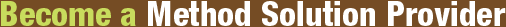 Solution Providers - Consultants & Developers