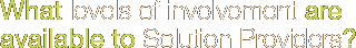 What levels of involvement are available to Solution Providers?